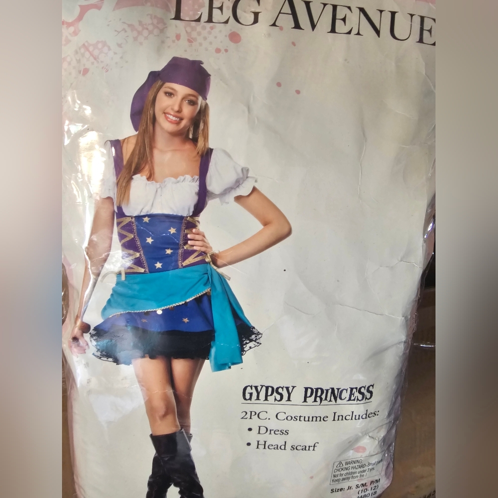 Gypsy Princess Halloween Costume